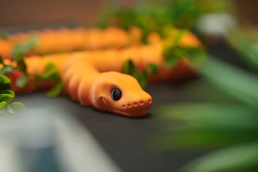 Ball Python Snake