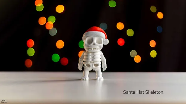 Santa Hat Skeleton